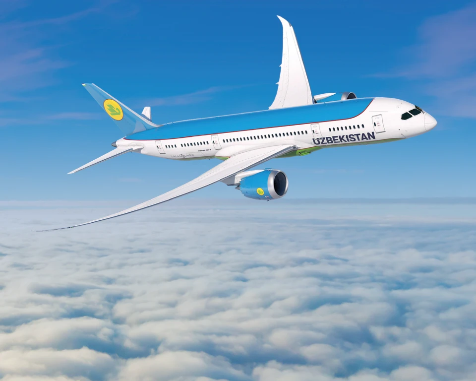Airplane in high sky